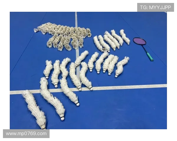 从零基础到网球高手的全面提升指南与实用技巧分享