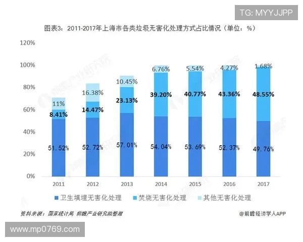 上海滑板队技术探讨与发展现状的深度分析与展望 上海滑板队技术探讨与发展现状的深度分析与展望