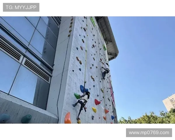 南京攀岩队防守革新探秘如何提升竞技水平与团队协作能力