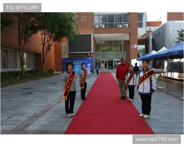 成都攀岩队运营革新探索新模式助力竞技水平提升与团队发展