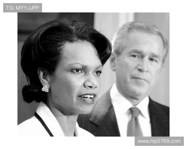 赖斯的外交策略与全球影响力分析探讨 赖斯的外交策略与全球影响力分析探讨