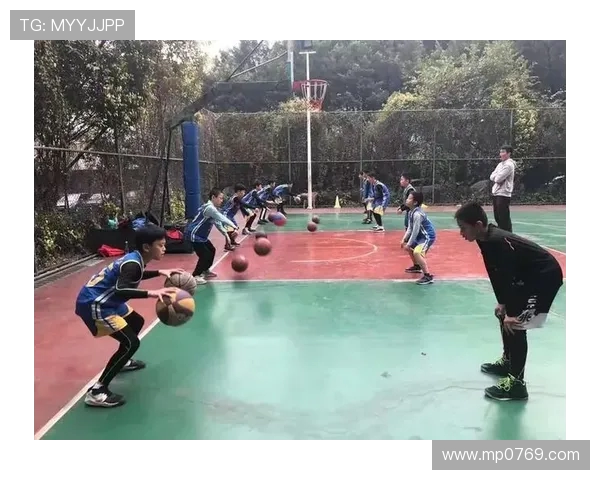 广州篮球队个人能力揭秘：明星球员的成长与技战术分析