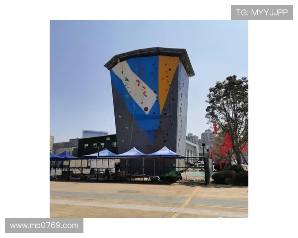 广州攀岩队的力量揭秘：挑战极限的勇者之路与团队精神