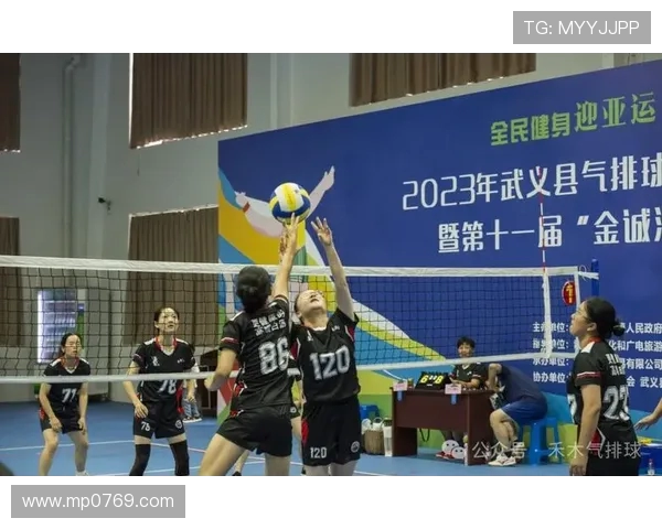 上海排球队的默契配合揭秘与技战术分析之旅