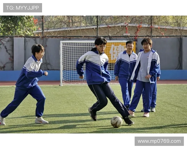 北京飞盘队在极限运动联赛中的耐力表现分析与点评