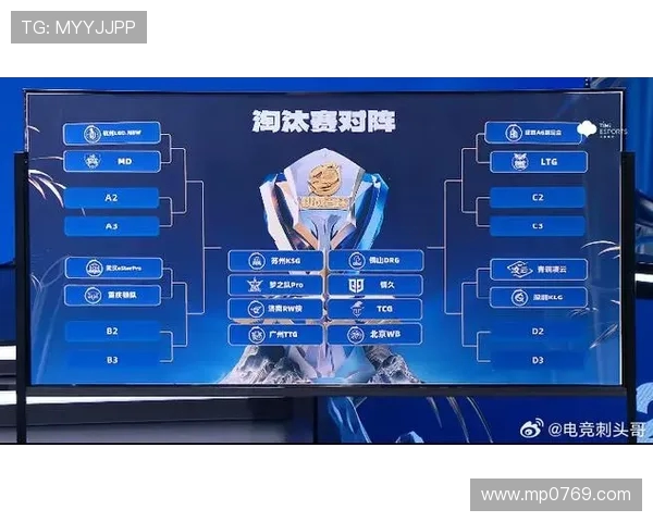 对话张芳：深入探讨她在王者荣耀中的成长与挑战经历